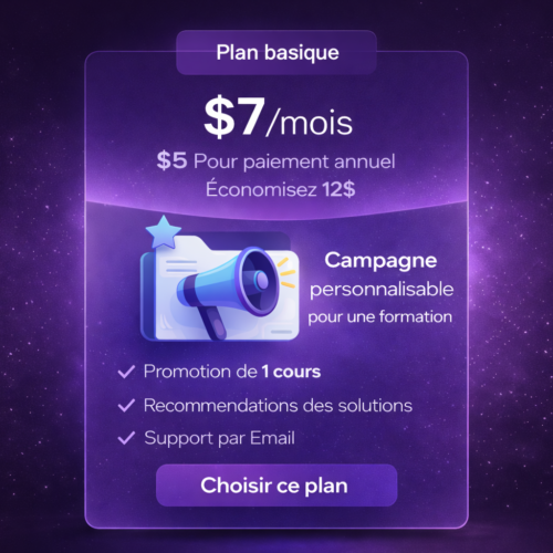 Campagne ads (plan basique)