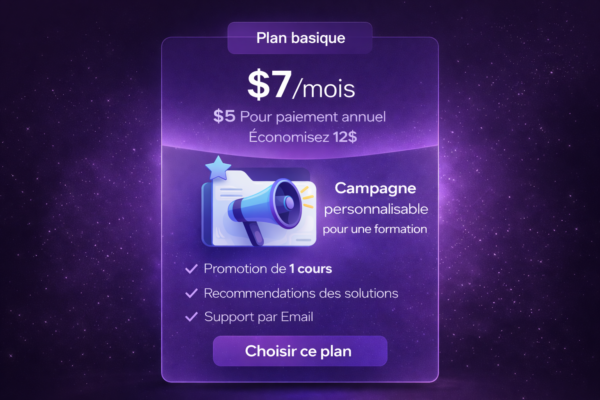 Campagne ads (plan basique)